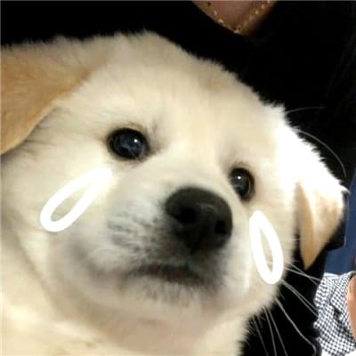 Bryanboy avatar